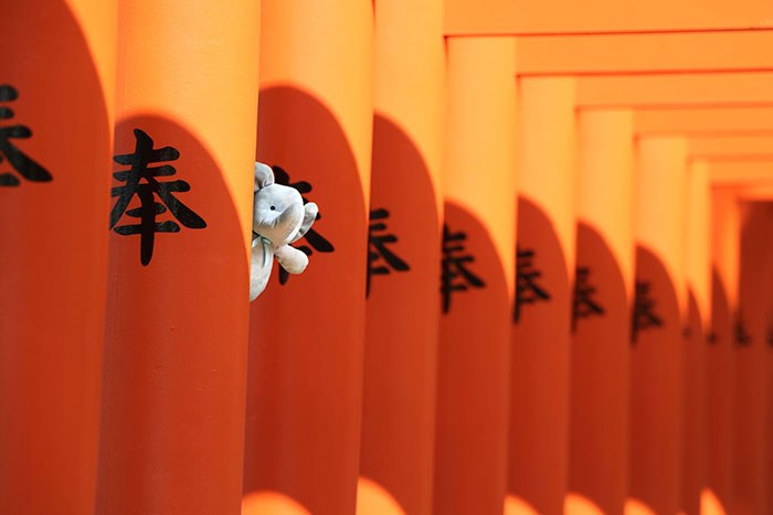 A szülők azt mondják, a kisfiú játéka nem veszett el, csak körbeutazza a világot A szülők azt mondják, a kisfiú játéka nem veszett el, csak körbeutazza a világot