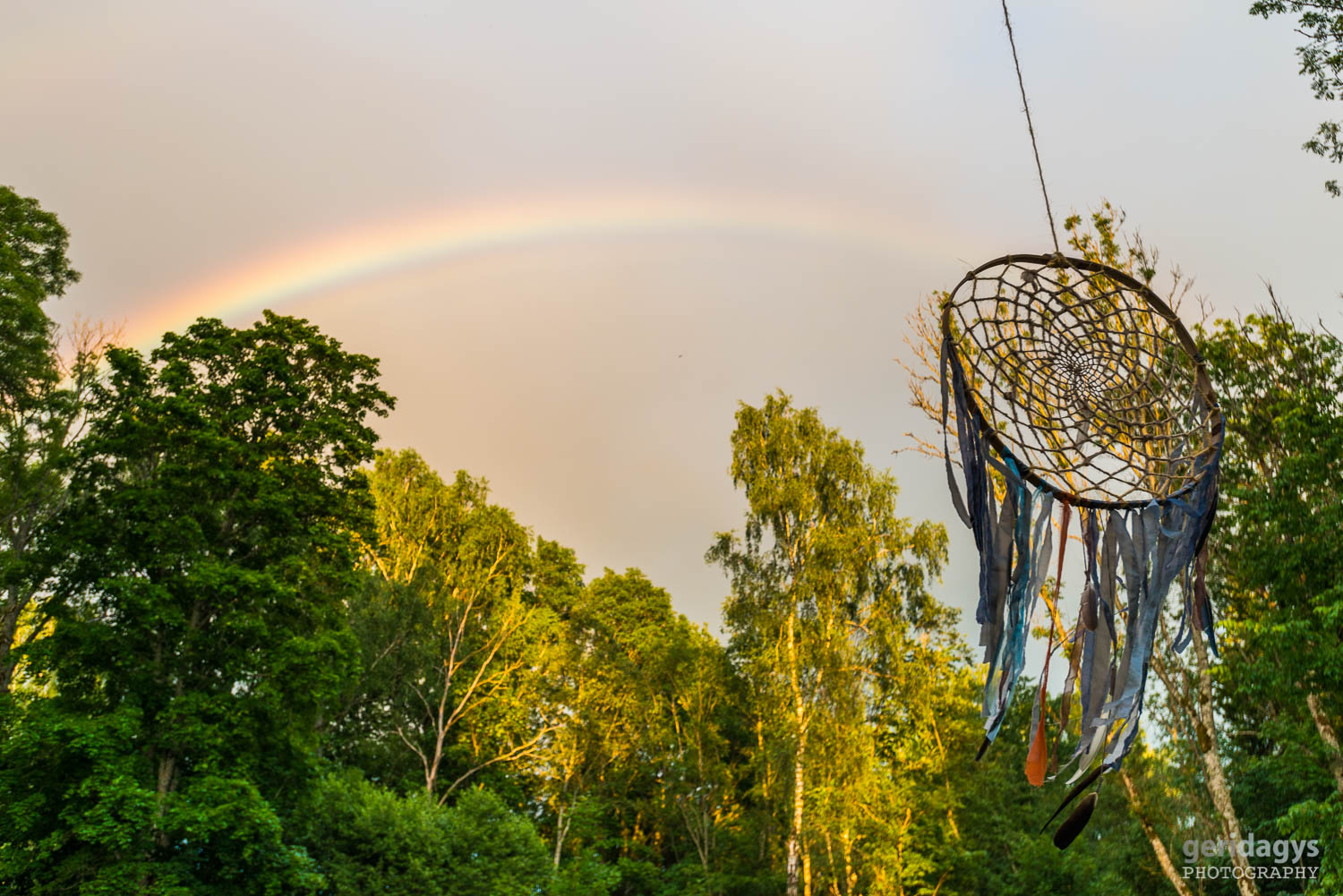 Fotó: estastonne.com