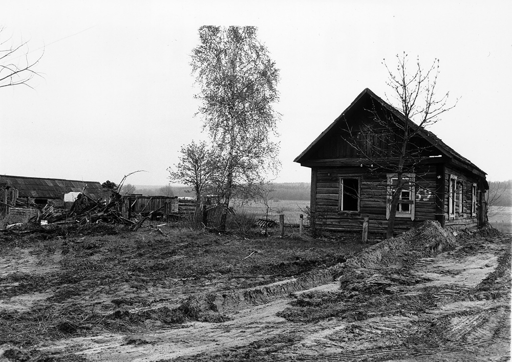 Sugárfertőzött férj, terhesség, mit tennél? Ápolnád a párod, vagy hagynád egyedül meghalni?