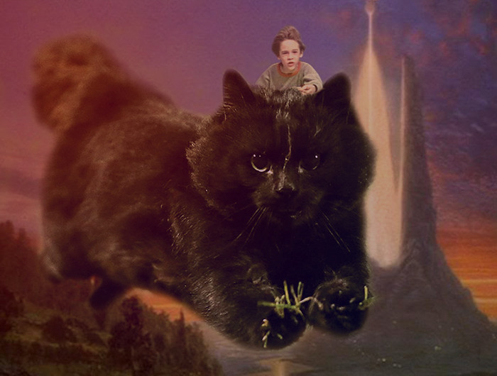 Photoshop-háborút robbantott ki a rögbi meccsen feltűnő macska