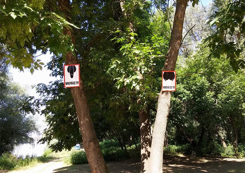 Különös kresztáblák lepték el a Tisza partját