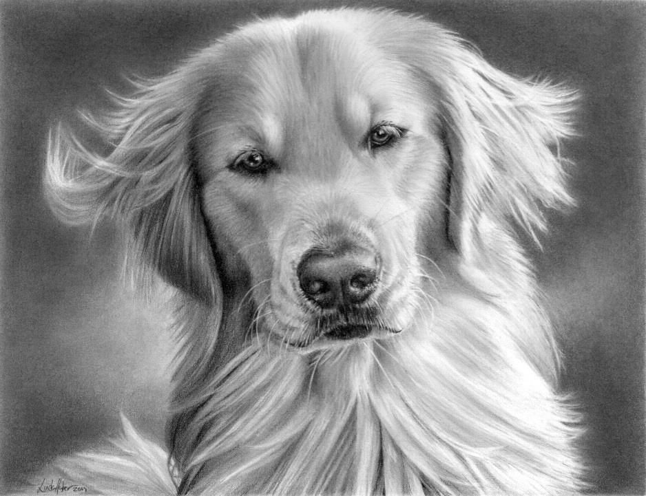 Elámulsz, ha megtudod, hogy ezeket az állatokat szabad kézzel rajzolták meg!