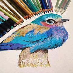 Elámulsz, ha megtudod, hogy ezeket az állatokat szabad kézzel rajzolták meg!