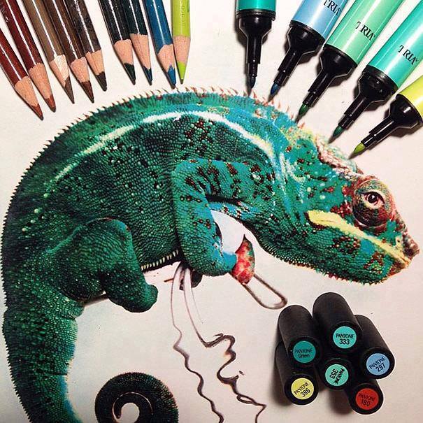 Elámulsz, ha megtudod, hogy ezeket az állatokat szabad kézzel rajzolták meg!