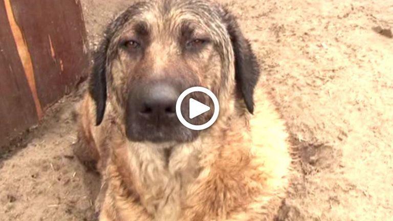 A videóért kattints ide!