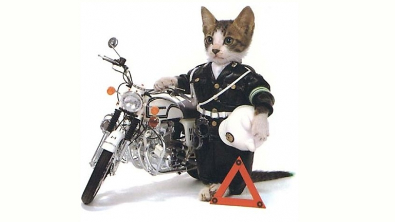 Javaslatunk, a rendőrmacskák egyenruhájára (Fotó: Tumblr)