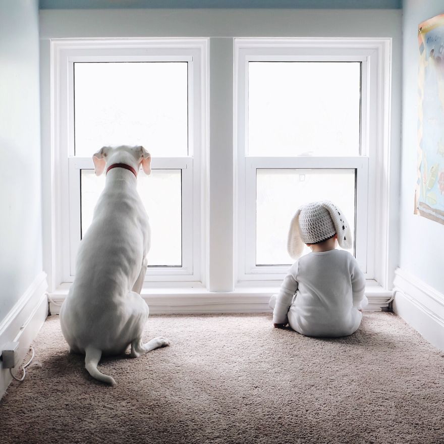 Ő Nora, a legcukibb négylábú bébiszitter - fotók