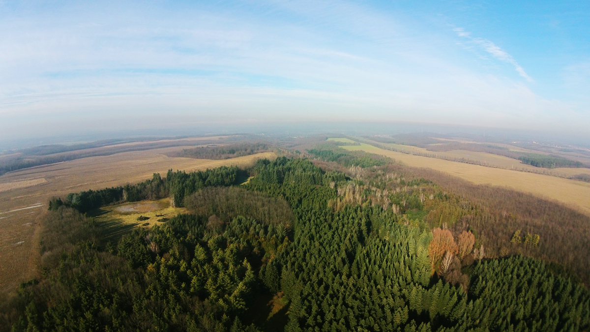 A jeli Arborétum A jeli Arborétum
