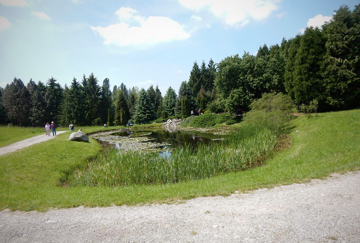 A jeli Arborétum A jeli Arborétum