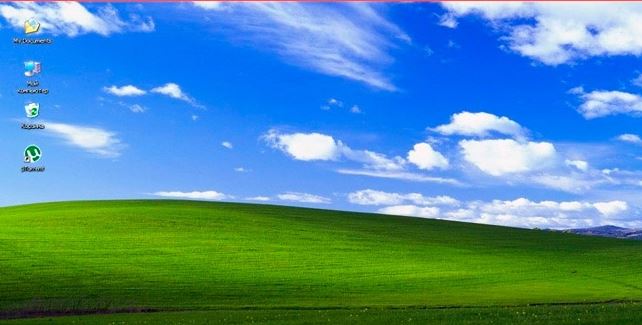 Nem is gondolnád, mi mindenben különböznek a férfiak és a nők 