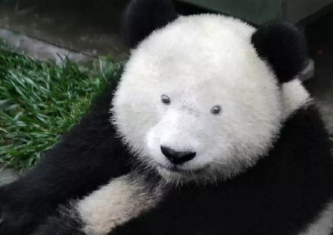 10 mondat, amit minden nő szívesen hallana 10 mondat, amit minden nő szívesen hallana