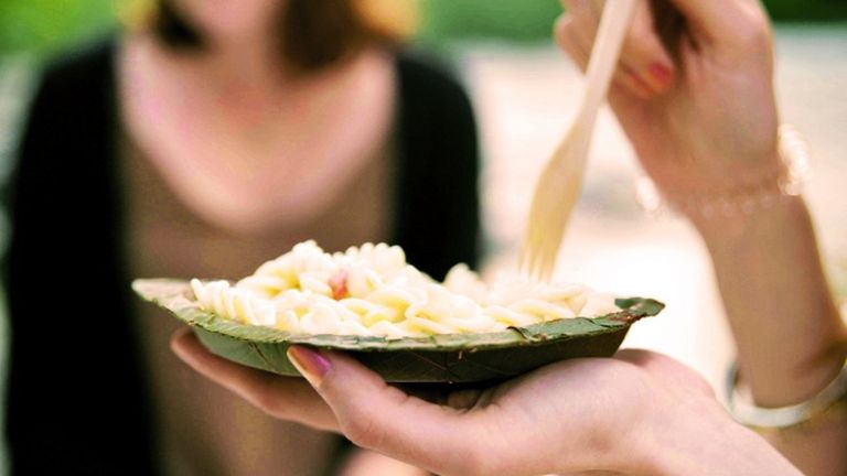 Eldobható tányér környezettudatosoknak