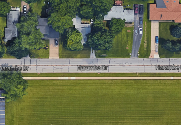 Addig trükköztek a kamaszok, míg a Google egy gorilla után nevezett át egy utcát Addig trükköztek a kamaszok, míg a Google egy gorilla után nevezett át egy utcát