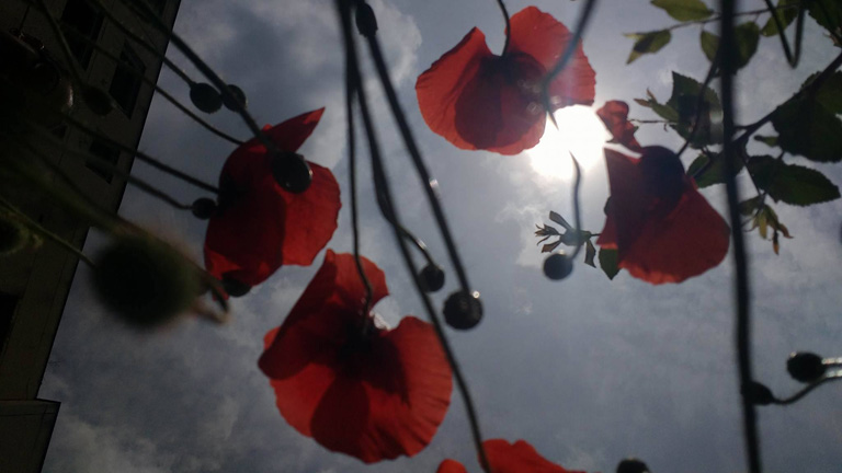 Az eredeti kép (Fotó: Andersen Dávid)