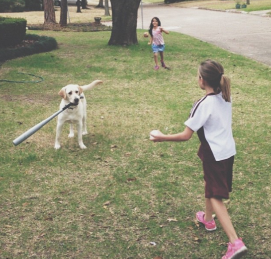 14 fotó, ami bizonyítja, hogy a kutyáknál nem létezik jobb barát 14 fotó, ami bizonyítja, hogy a kutyáknál nem létezik jobb barát