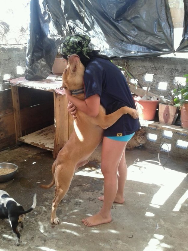 14 fotó, ami bizonyítja, hogy a kutyáknál nem létezik jobb barát 14 fotó, ami bizonyítja, hogy a kutyáknál nem létezik jobb barát