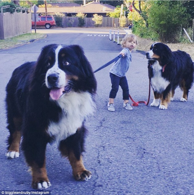 A legcukibb insta oldal: pöttöm gyerekek és hatalmas kutyák A legcukibb insta oldal: pöttöm gyerekek és hatalmas kutyák