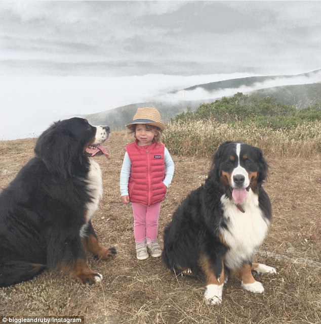 A legcukibb insta oldal: pöttöm gyerekek és hatalmas kutyák A legcukibb insta oldal: pöttöm gyerekek és hatalmas kutyák