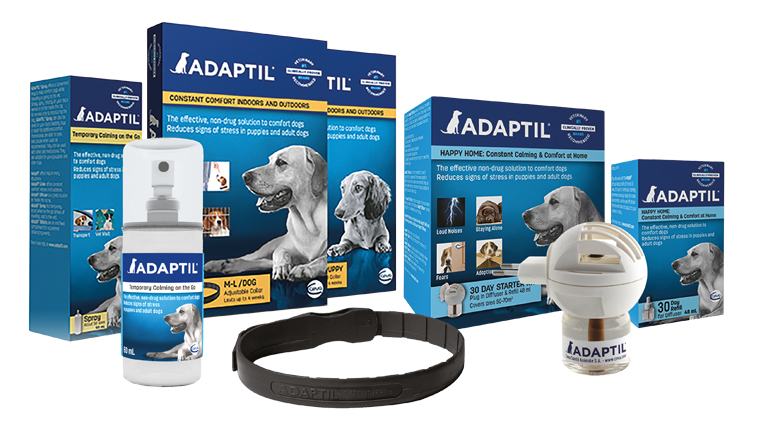 Szorongó kutyák és macskák!