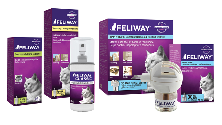 Szorongó kutyák és macskák!