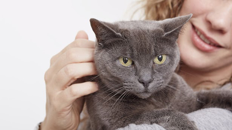 Szorongó kutyák és macskák!