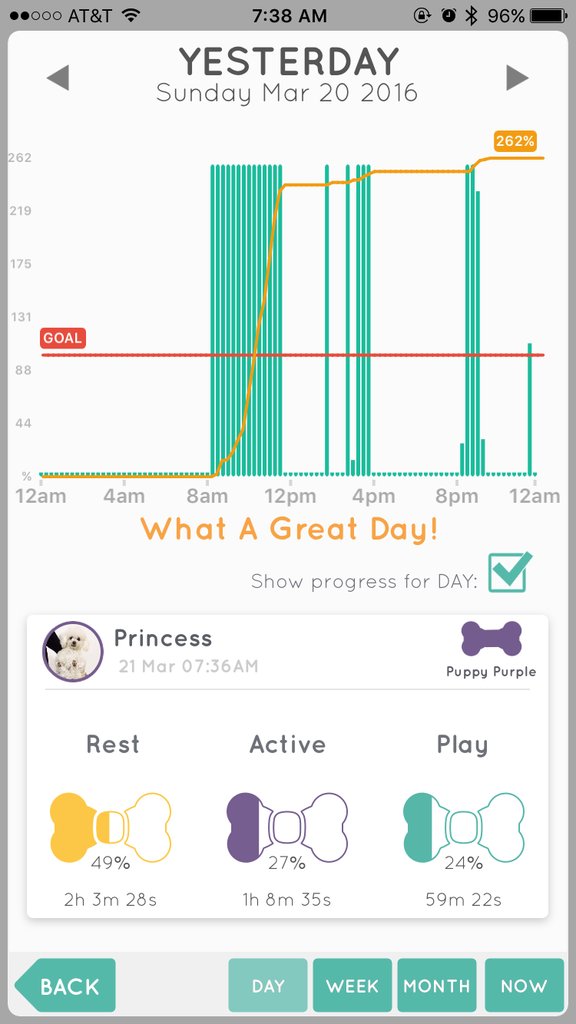 A kutyád is formába lendülhet saját mobilos fitnesz-applikációjával A kutyád is formába lendülhet saját mobilos fitnesz-applikációjával