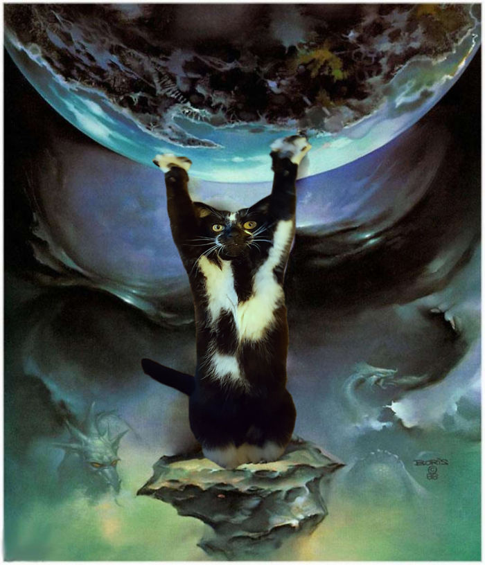 A feltartott kezű macska annyira vicces, hogy muszáj volt kitörnie a Photoshop-háborúnak