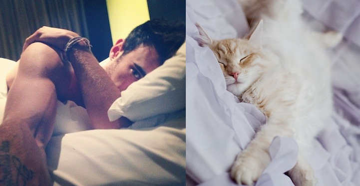 Nézegess jó pasikat, akiknek macska ikreik is vannak!