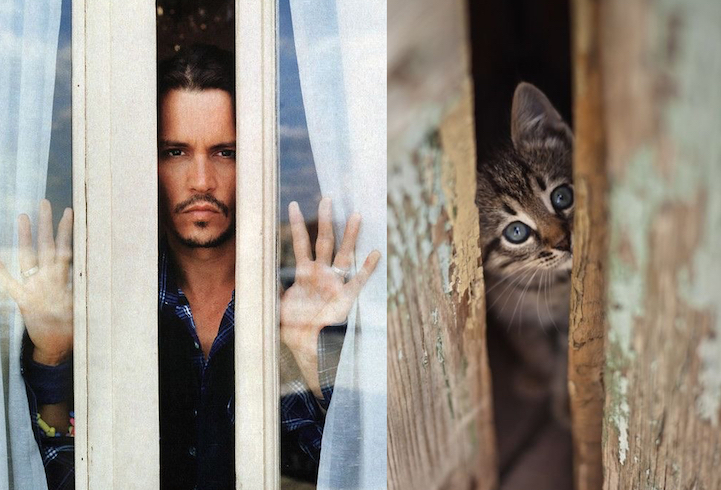 Nézegess jó pasikat, akiknek macska ikreik is vannak!