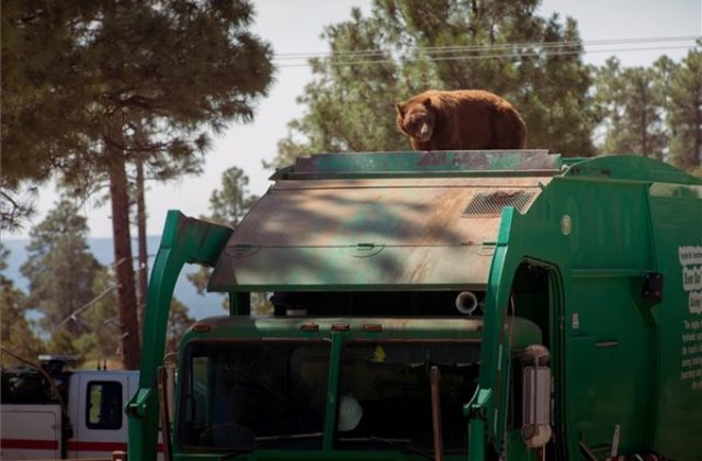 Mégsem biztos, hogy újra megpróbálkozik ezzel...