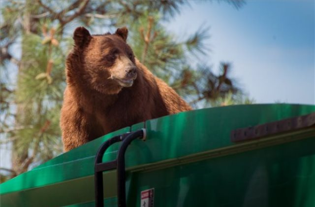 Le kéne jönni innen valahogy...