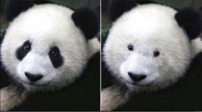 10 dolog, amit csak a szemüvegesek érthetnek meg