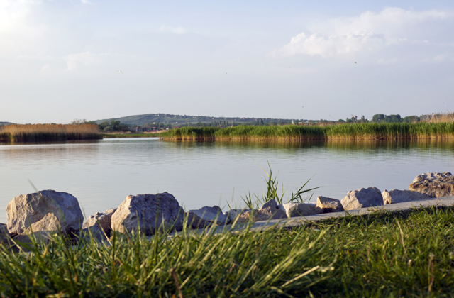 Elmarad a tóúszás a Velencei-tónál Elmarad a tóúszás a Velencei-tónál