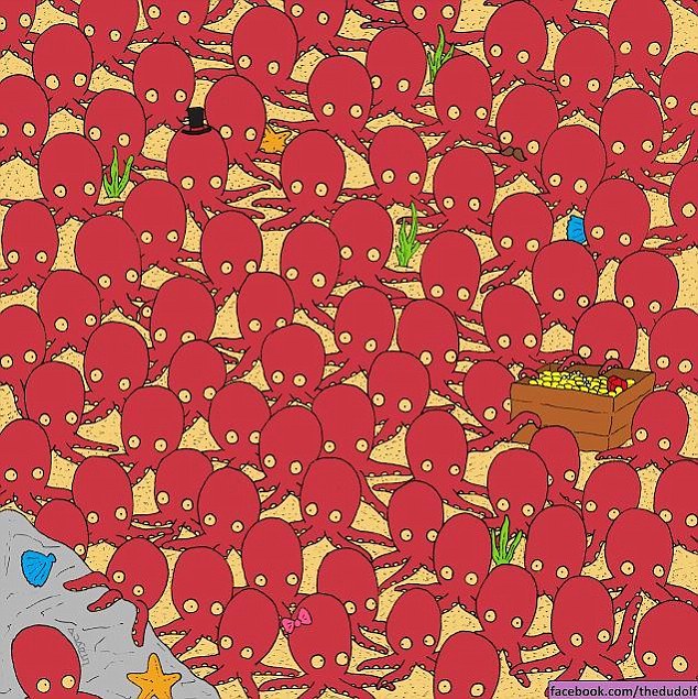 Felejtsd el Némót, ezt a halat találd meg!