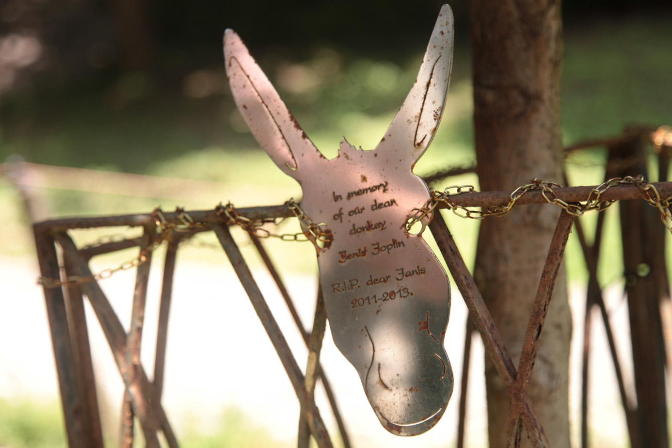 Egy mesés Csepel teherautó és egy külföldi házaspár, akik beleszerettek egy magyar faluba