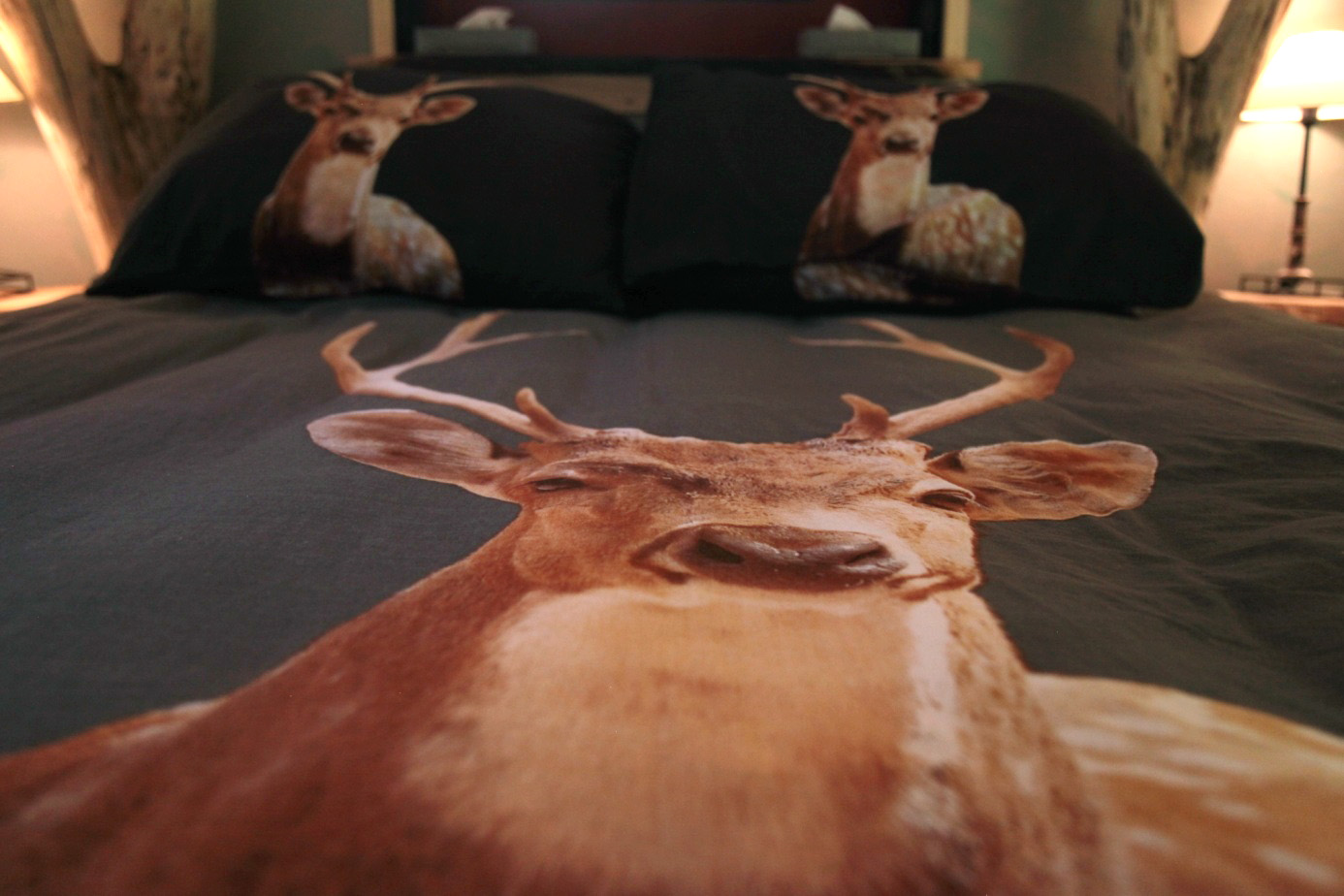 Egy mesés Csepel teherautó és egy külföldi házaspár, akik beleszerettek egy magyar faluba