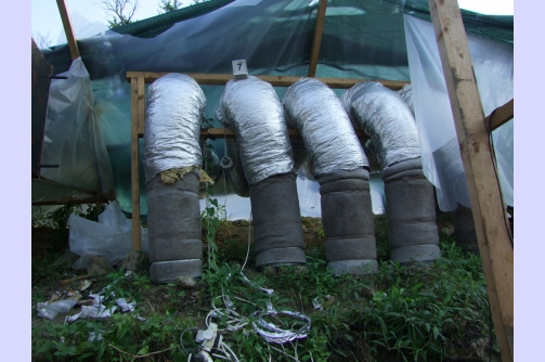 Úgy termesztették a kannabiszt a zalai fiatalok, mintha csak petrezselyem lenne