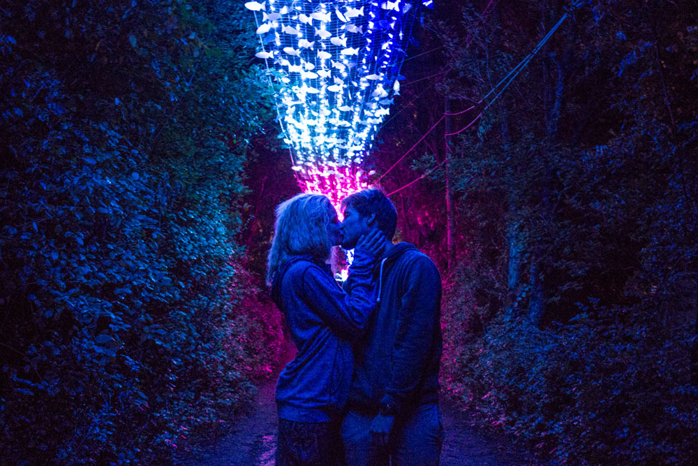 A legjobb képek az idei Szigetről