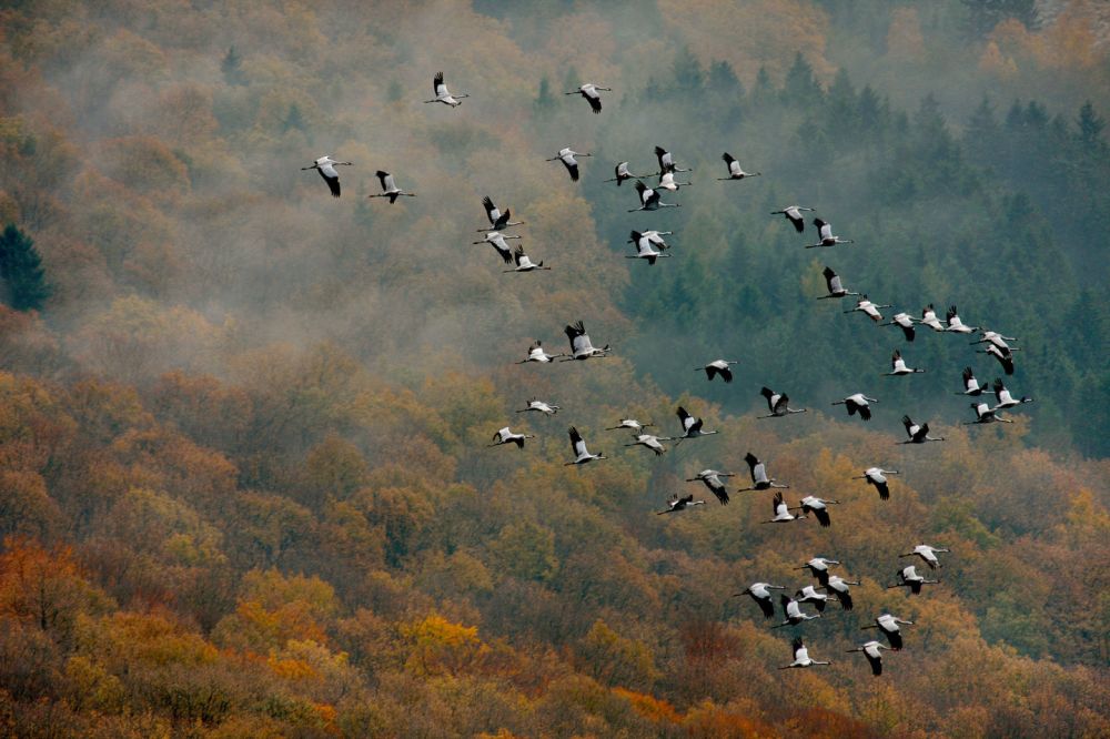 Jön az ősz: pompa és gazdagság vár ránk