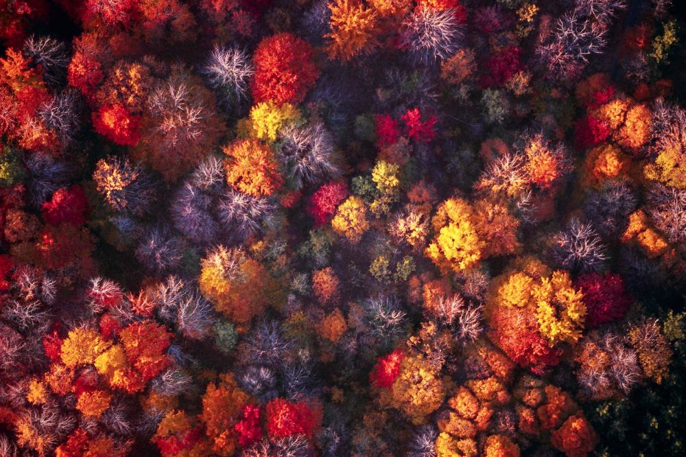 Jön az ősz: pompa és gazdagság vár ránk