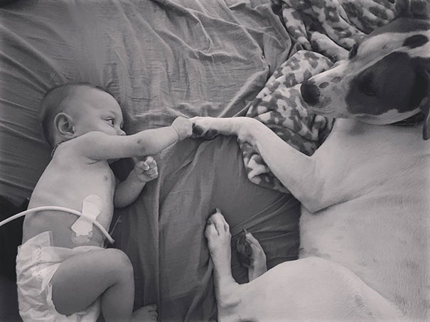 Tüneményes: már azelőtt egymásba bolondult a kislány és a kutya, hogy egyáltalán találkoztak volna Tüneményes: már azelőtt egymásba bolondult a kislány és a kutya, hogy egyáltalán találkoztak volna