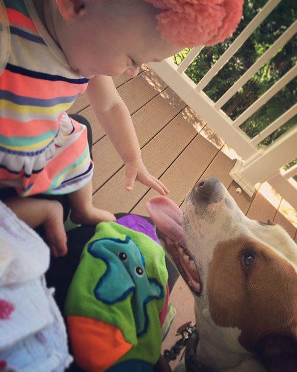 Tüneményes: már azelőtt egymásba bolondult a kislány és a kutya, hogy egyáltalán találkoztak volna Tüneményes: már azelőtt egymásba bolondult a kislány és a kutya, hogy egyáltalán találkoztak volna