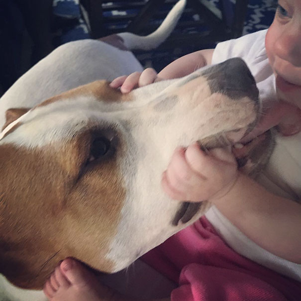 Tüneményes: már azelőtt egymásba bolondult a kislány és a kutya, hogy egyáltalán találkoztak volna Tüneményes: már azelőtt egymásba bolondult a kislány és a kutya, hogy egyáltalán találkoztak volna