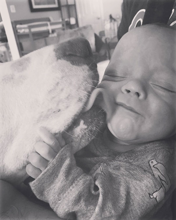 Tüneményes: már azelőtt egymásba bolondult a kislány és a kutya, hogy egyáltalán találkoztak volna Tüneményes: már azelőtt egymásba bolondult a kislány és a kutya, hogy egyáltalán találkoztak volna