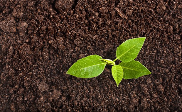 Költségkímélő DIY-tippek a kertbe