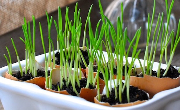 Költségkímélő DIY-tippek a kertbe