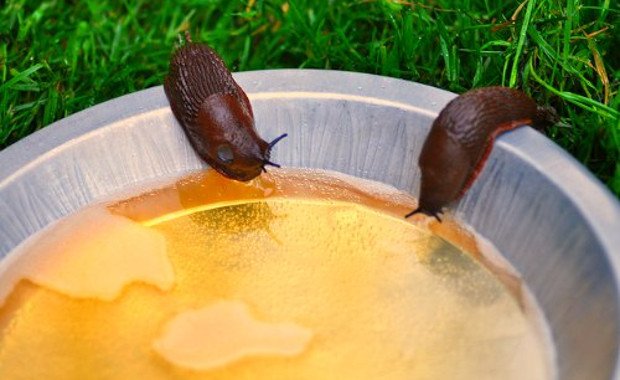 Költségkímélő DIY-tippek a kertbe