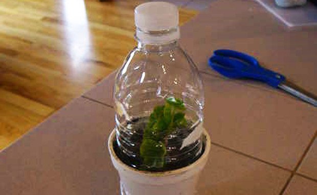 Költségkímélő DIY-tippek a kertbe