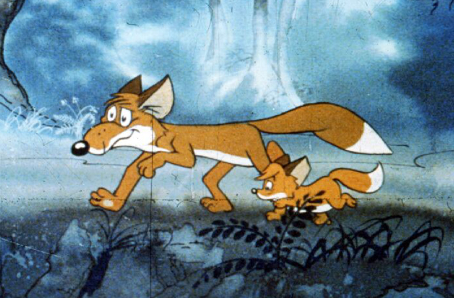 Ne csodálkozz, ha rókával futsz össze Budán! Ne csodálkozz, ha rókával futsz össze Budán!