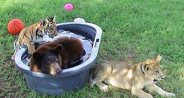 15 évig elválaszthatatlan barátok voltak – most a trióból duó lett 